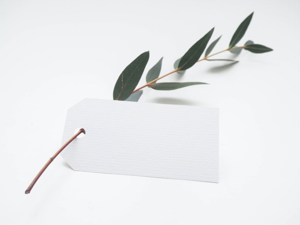Destination Wedding Etiquette: Should You Bring a Gift?
